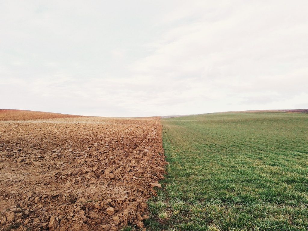 agriculture bio préservation environnement