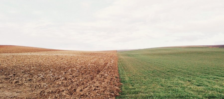 Comment l’agriculture biologique préserve-t-elle l’environnement ?